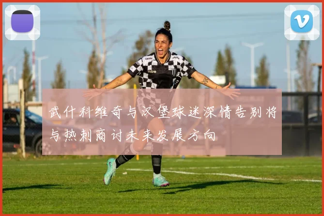 武什科维奇与汉堡球迷深情告别将与热刺商讨未来发展方向